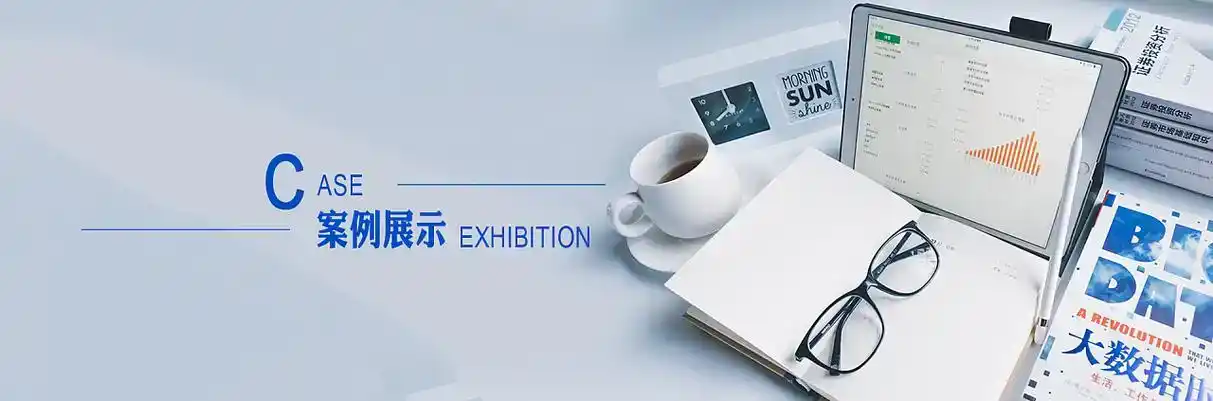 阜新蒙古族自治县软件开发